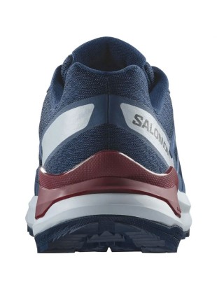 Moški trail tekaški copati Salomon Examotion
